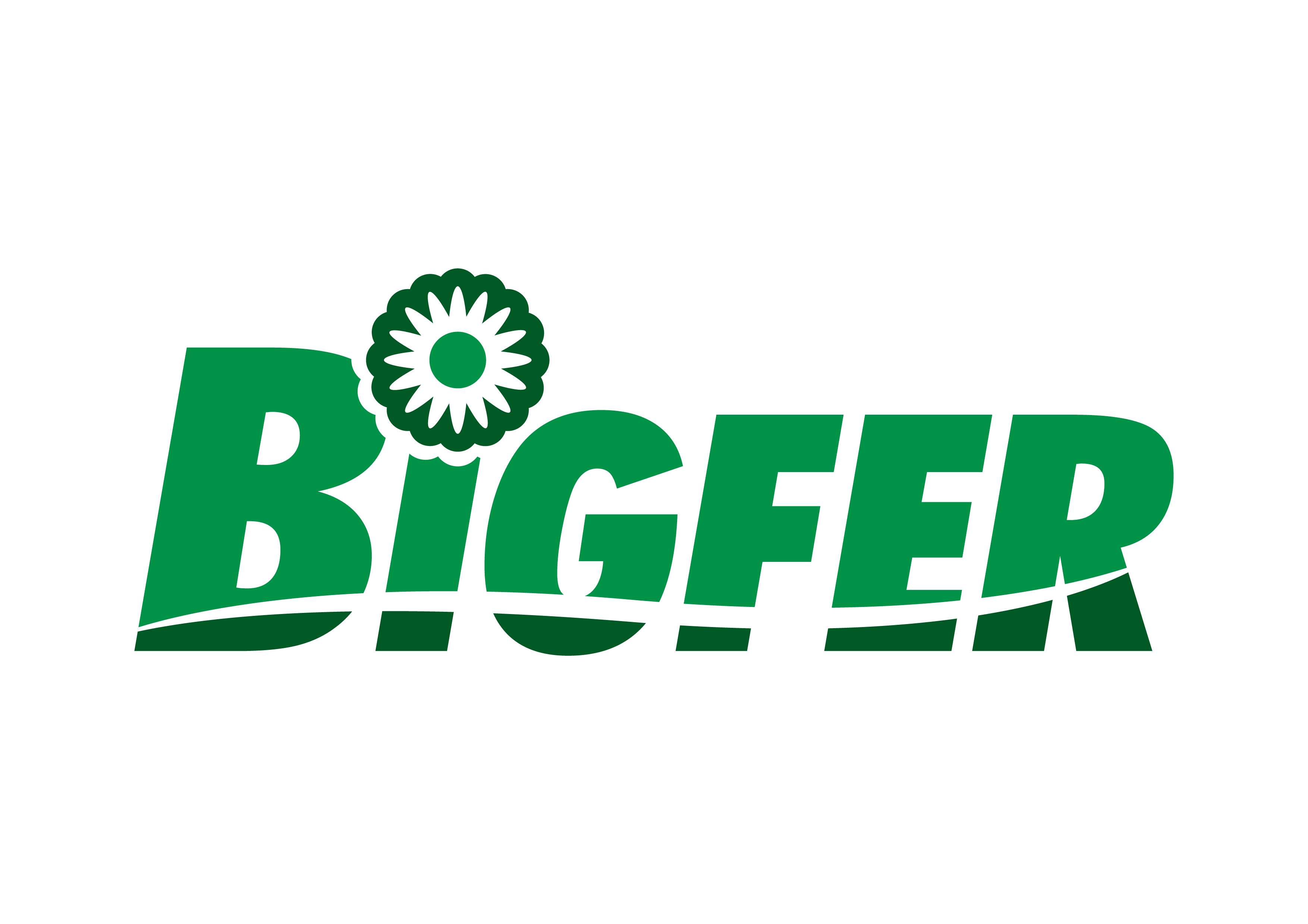 Grupo Bigfer-01