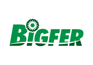 Grupo Bigfer-01